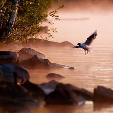 Схема вышивки «встречая расвет»