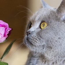 Схема вышивки «№1094301»