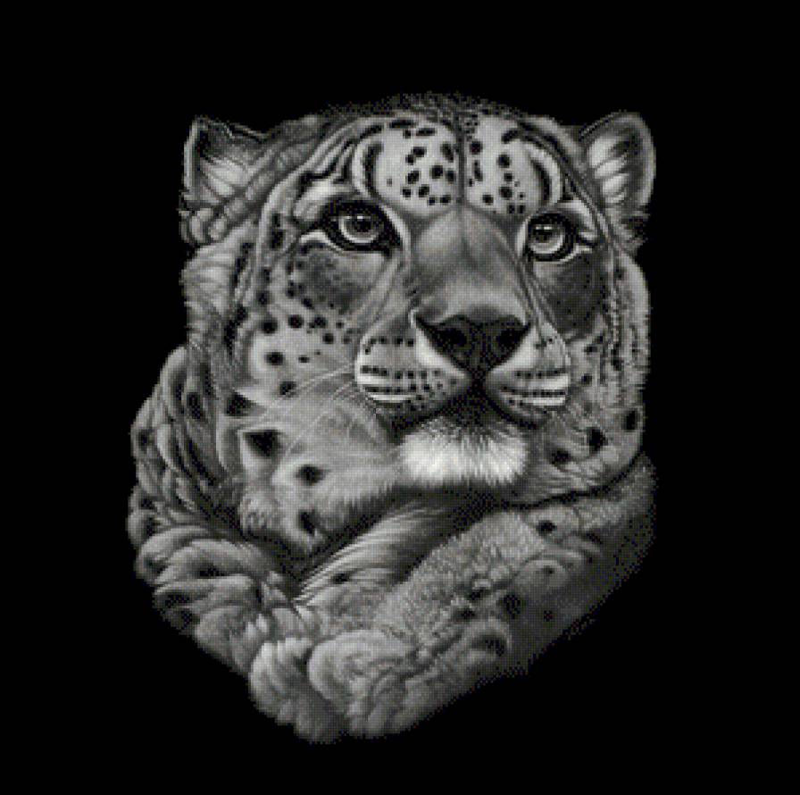 животные - предпросмотр