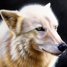 Схема вышивки «животные»