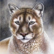 Схема вышивки «животные»