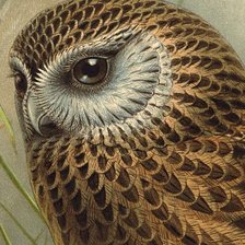 Схема вышивки «животные»