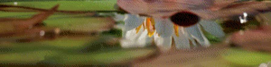 лотос на воде 2 - вода, лотос, триптих - предпросмотр