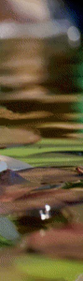 лотос на воде 3 - триптих, вода, лотос - предпросмотр