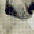 Предпросмотр схемы вышивки «wolf» (№1094690)
