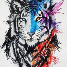 Тигр акварель