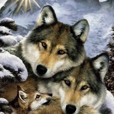 Схема вышивки «волки»