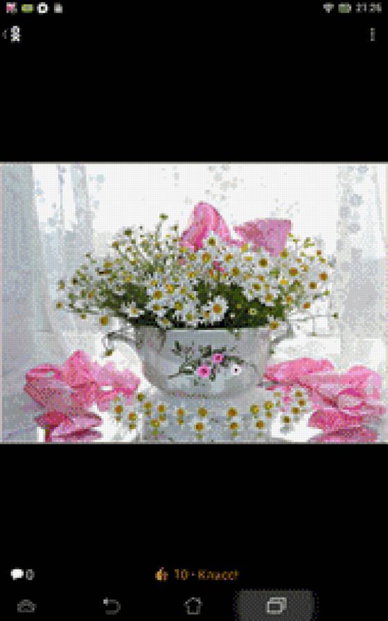 Полевые ромашки - предпросмотр