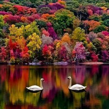 Осенний пруд