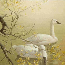 Схема вышивки «Лебединое утро»