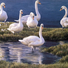 Схема вышивки «Птицы на пруду»
