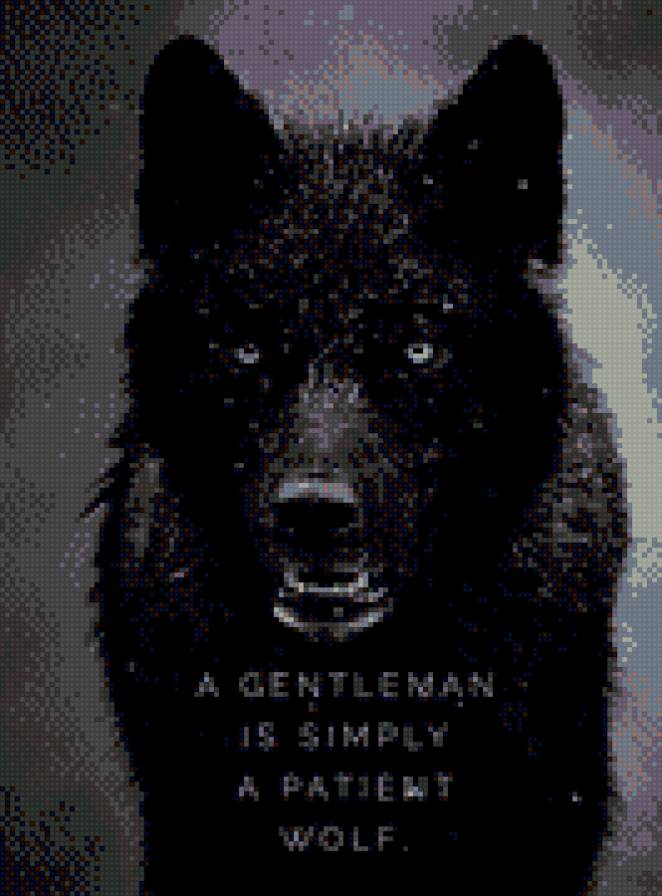 Gentleman wolf - черный волк - предпросмотр