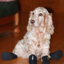 Схема вышивки «В любимых сапожках»