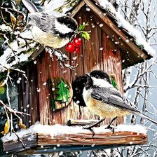 Схема вышивки «Синички»