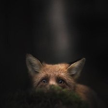 Схема вышивки «лиса»