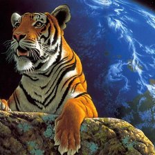 Схема вышивки «прекрасный хищник»