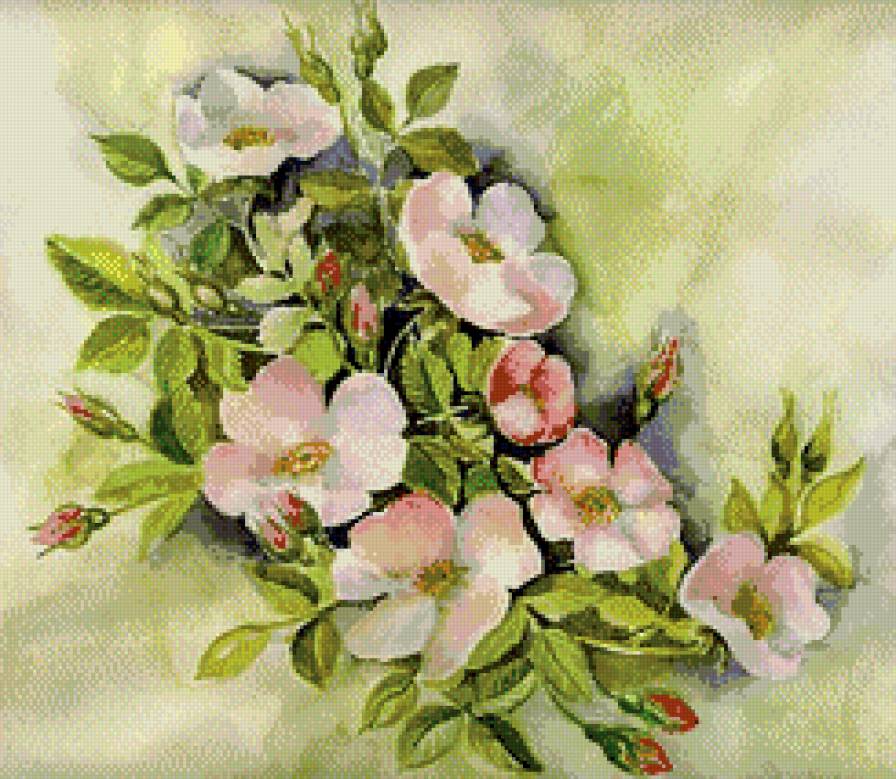 цветы шиповника - цветы, ягоды - предпросмотр