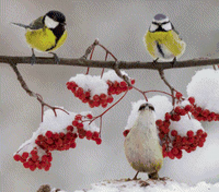 Синички - птицы, синицы - предпросмотр