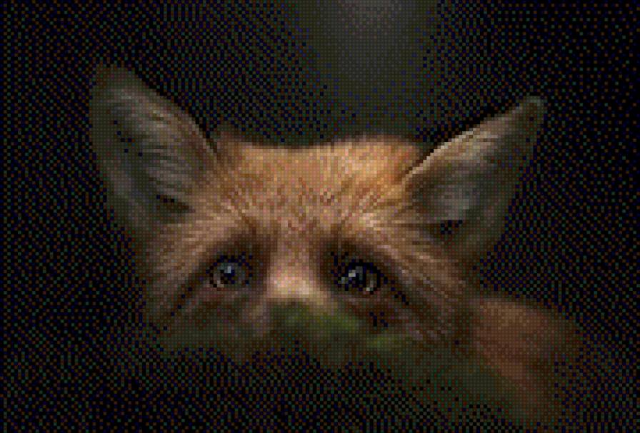 лиса - лиса, ночь - предпросмотр