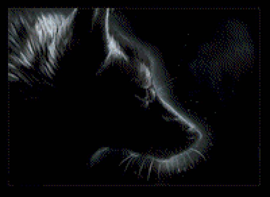 лис - лиса, лис - предпросмотр