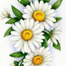 Схема вышивки «ромашки»