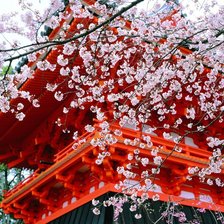 Схема вышивки «япония»