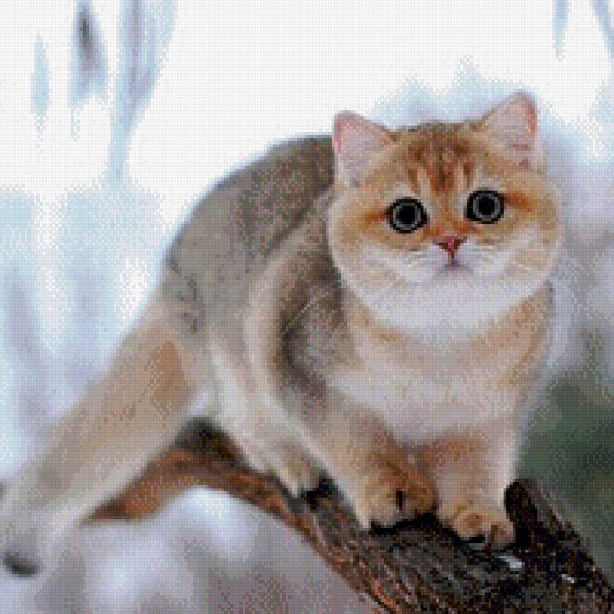 Котик - коты, животные - предпросмотр