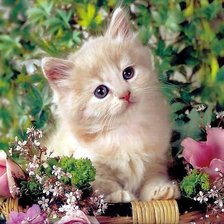 Схема вышивки «Кошка - мечтательница»