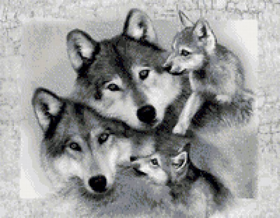 Семья волков - предпросмотр