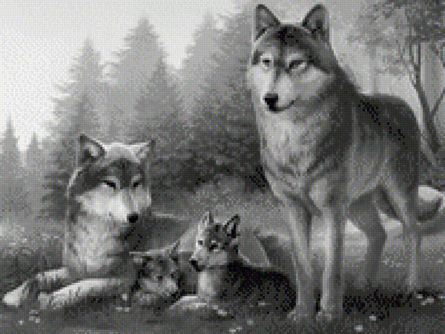 Семья волков - предпросмотр