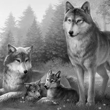 Схема вышивки «Семья волков»