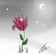 Розовый цветок