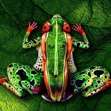 Схема вышивки «лягушка»