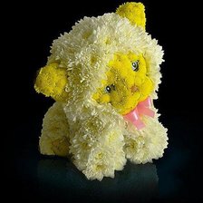 Цветочный котенок