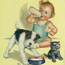 дружная семейка