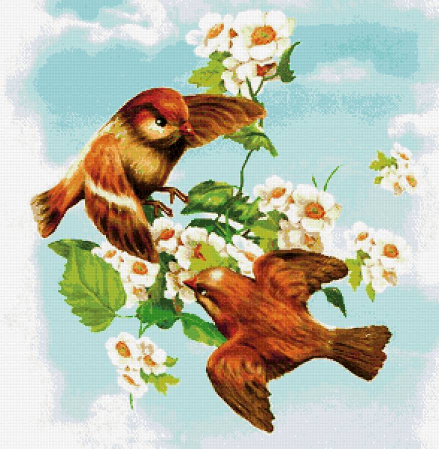 Весенние пташки - предпросмотр