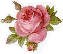 Схема вышивки «роза»