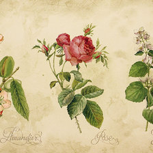 Схема вышивки «№1098751»