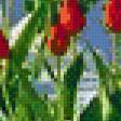 Предпросмотр схемы вышивки «Тюльпаны на снегу» (№1098785)