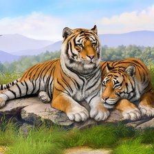 Схема вышивки «tiger»