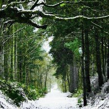 Схема вышивки «зимний лес»