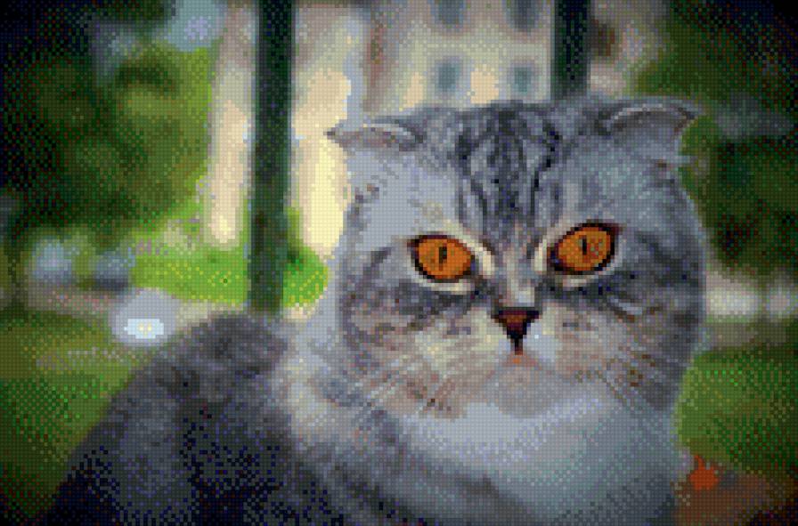 Бонечка - кошечка. - предпросмотр