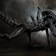 Схема вышивки «чужой»