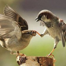Схема вышивки «Как вы говорите, так и живете»