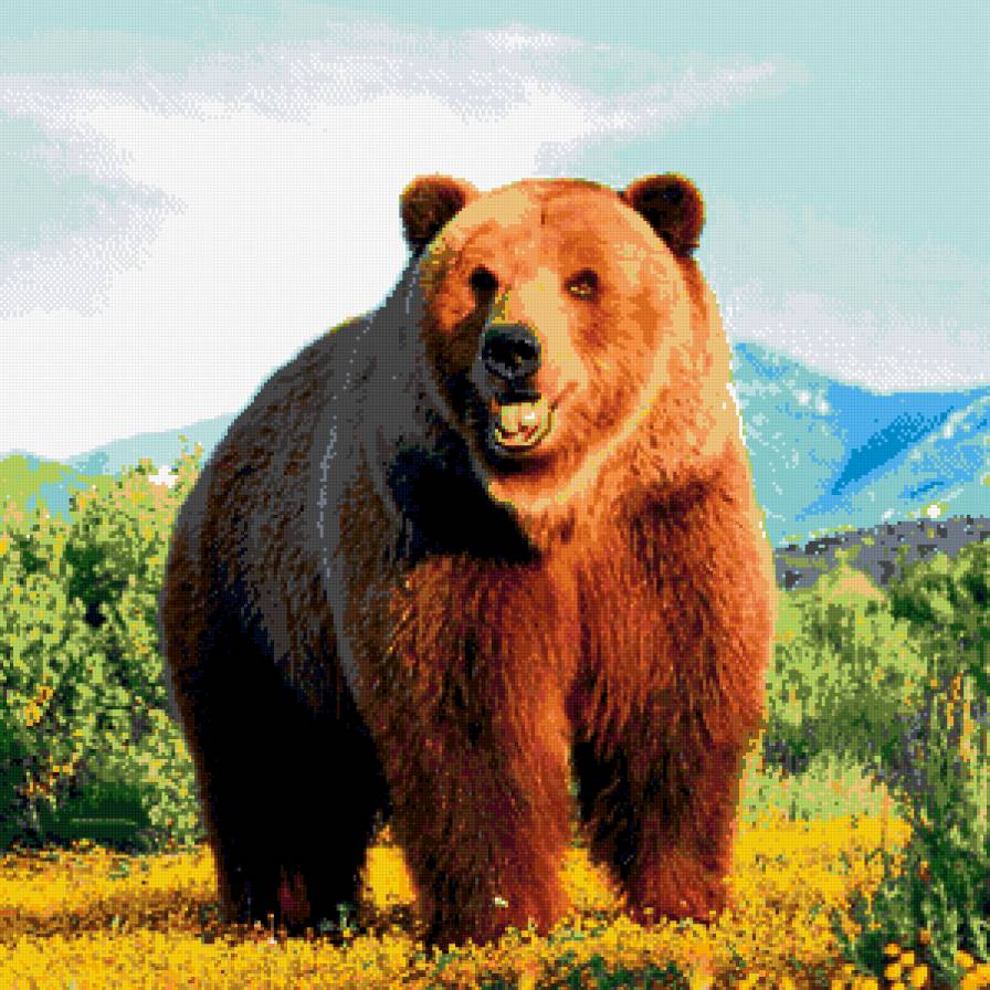 Медведь - зверь, медведь, природа, животное - предпросмотр