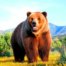 Схема вышивки «Медведь»