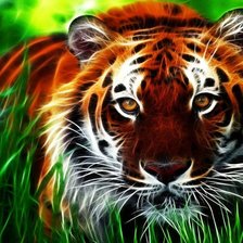 Схема вышивки «тигр»