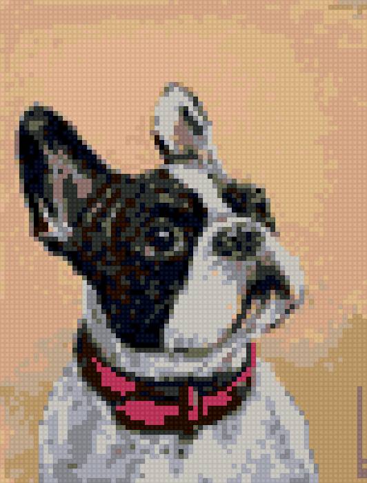 Бульдог - предпросмотр