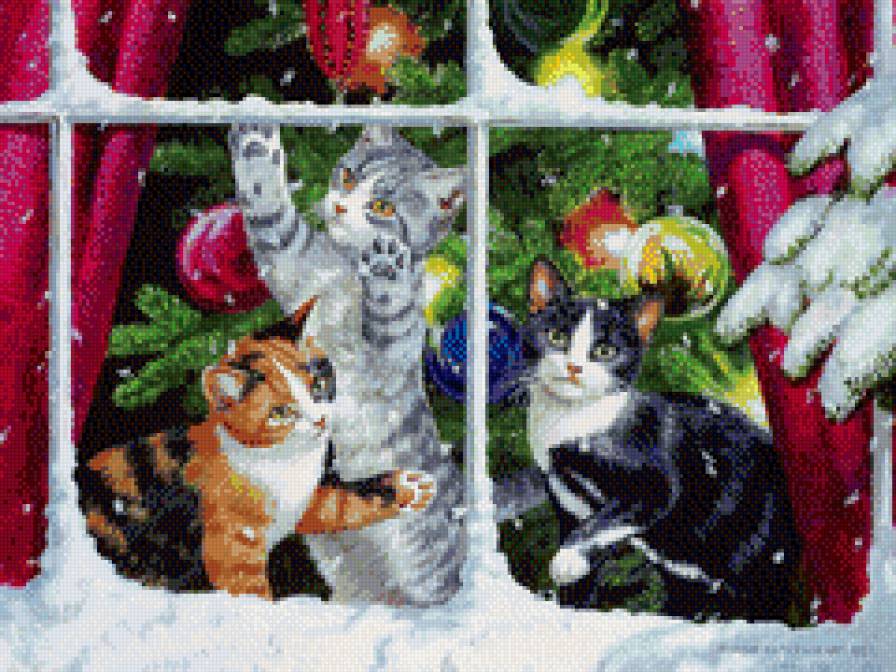 Котята в окне - животные, кот, коты - предпросмотр