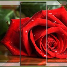 Схема вышивки «красная роза»